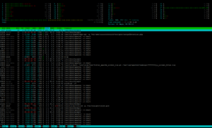 htop auf einem frequentierten Webserver